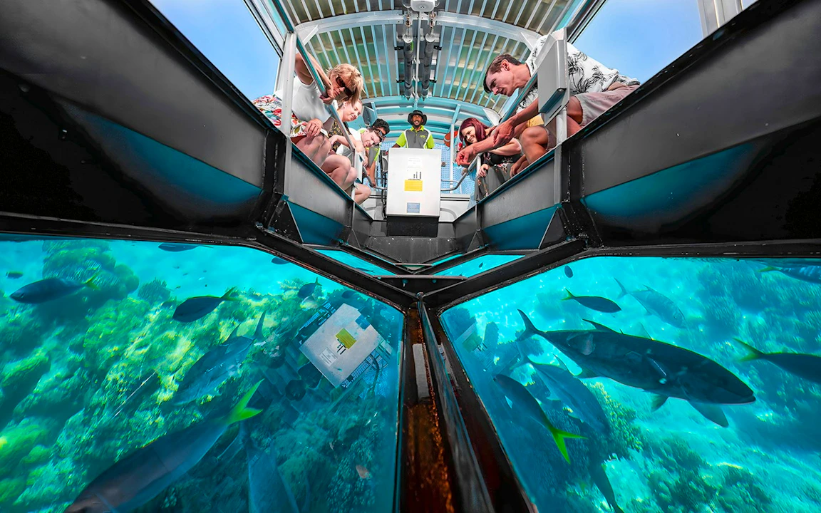 Green Island Reef Cruise Full-Day Tour Price